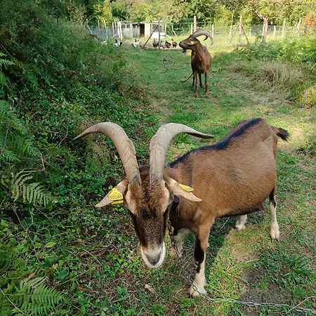 Nyaraló Location Meublee Au Milieu D'un Ecrin De Verdure Aux Vieux Fours