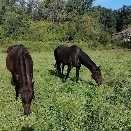 Location Meublee Au Milieu D'un Ecrin De Verdure Aux Vieux Fours